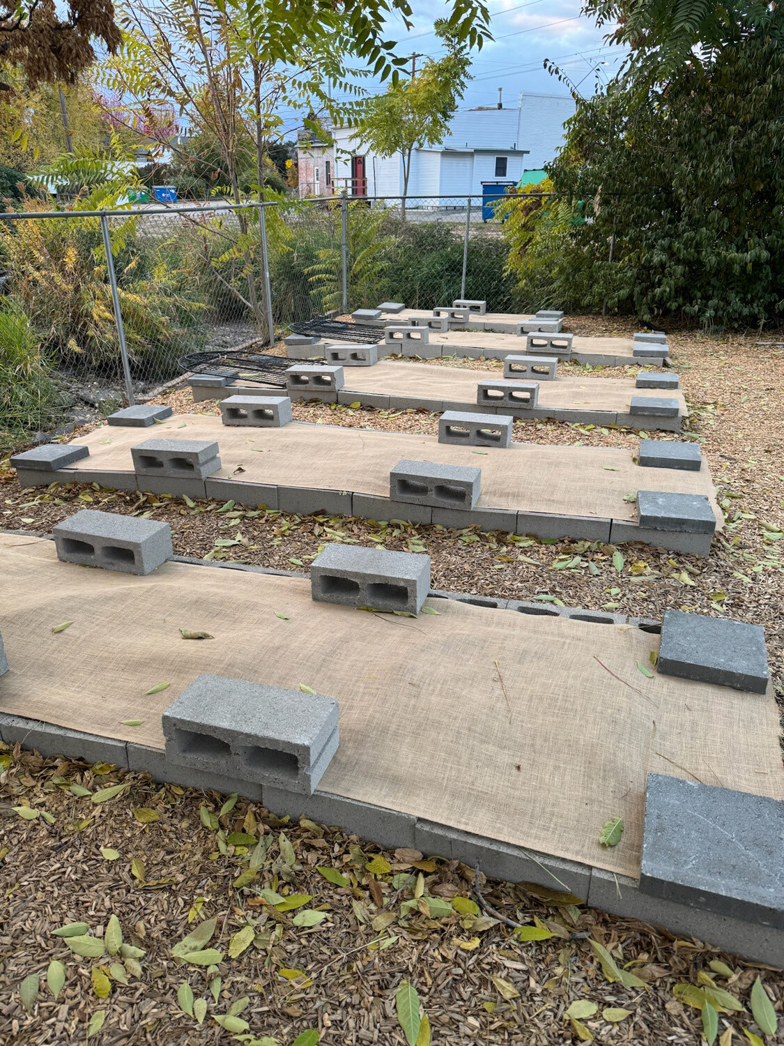 Planning the Garden Beds
