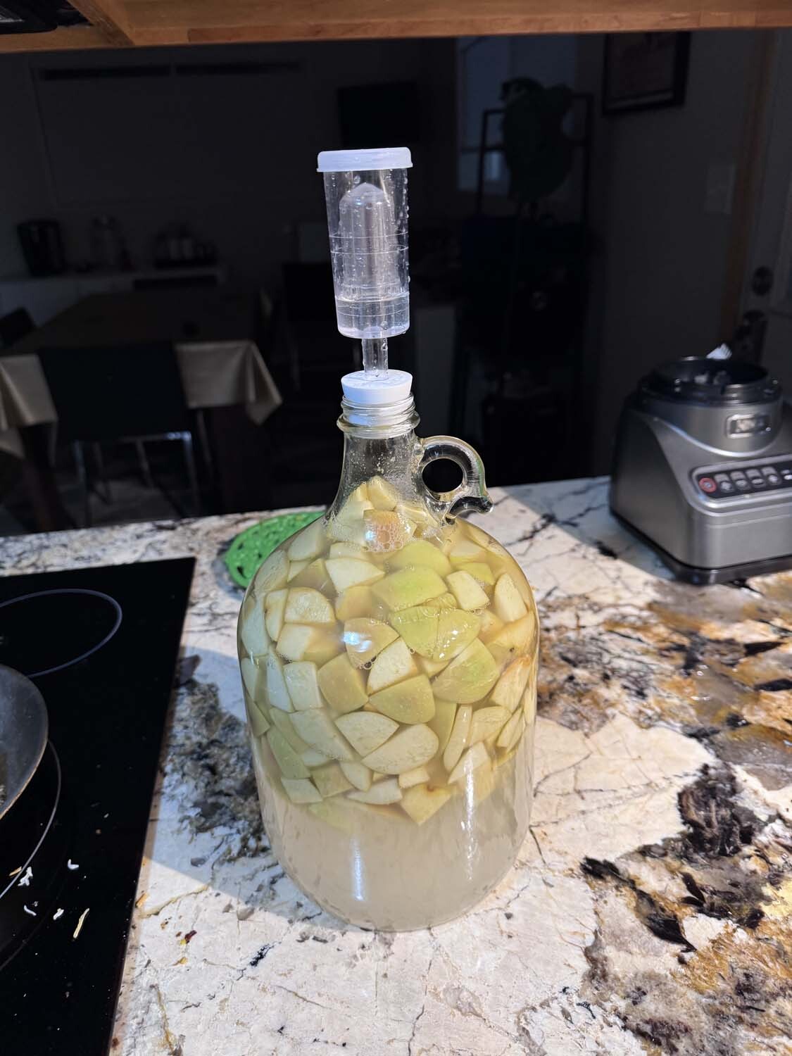 Making Vinegar from our Apples