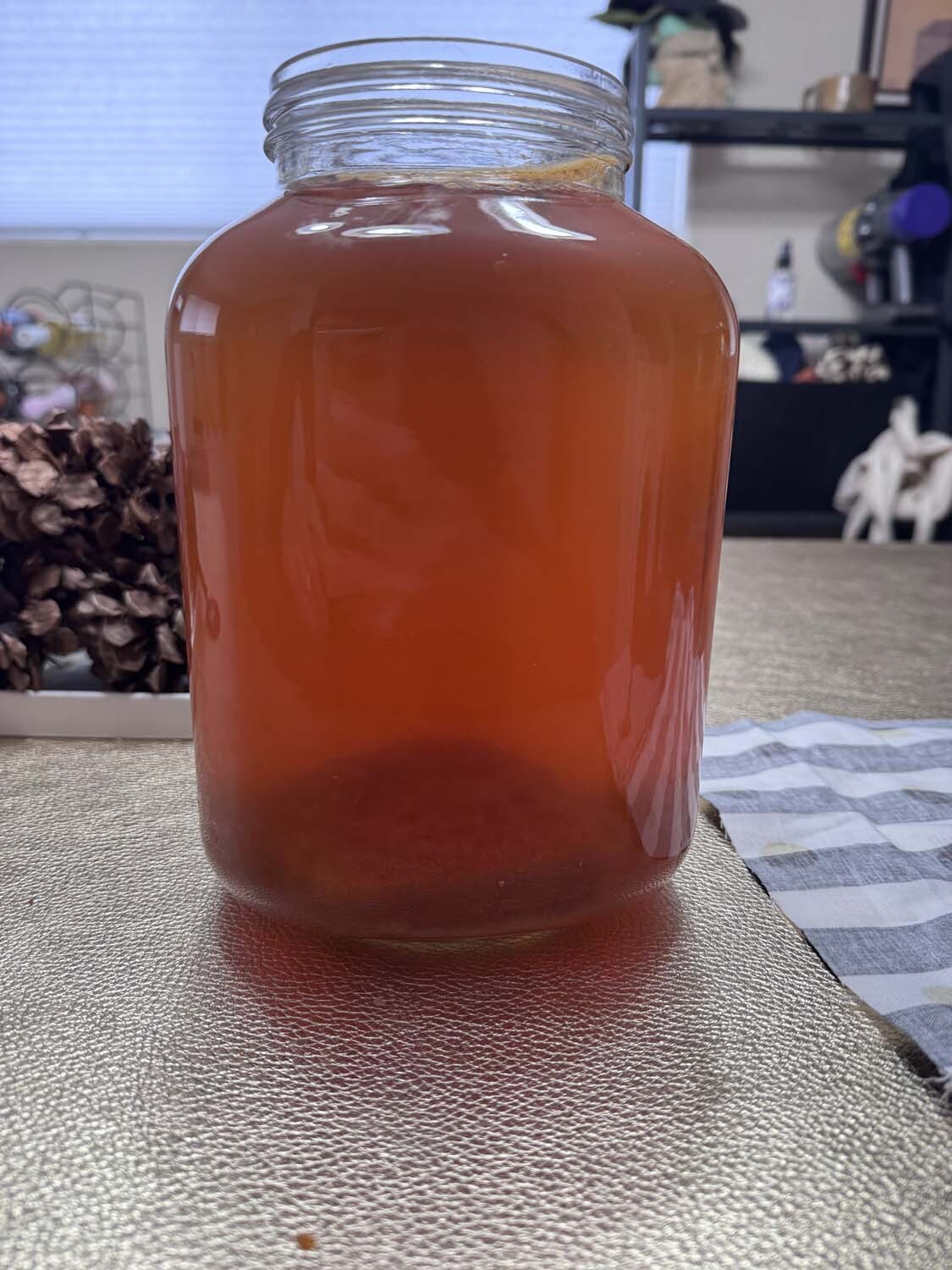 Making Kombucha