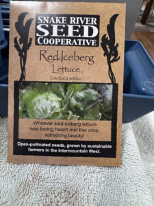 Red Lettuce: Seed Starting