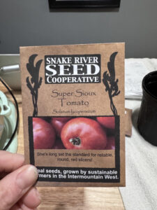 Super Sioux Tomato: Seed Starting