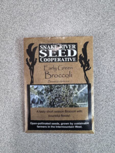Broccoli: Seed Starting