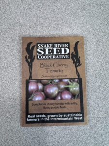 Black Cherry Tomato: Seed Starting