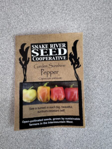 Bell Pepper: Seed Starting